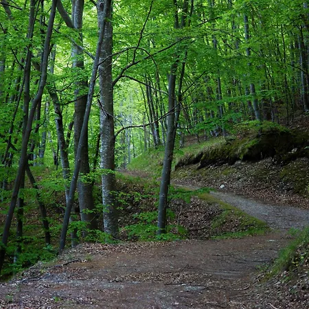 In Montagna Apartmán