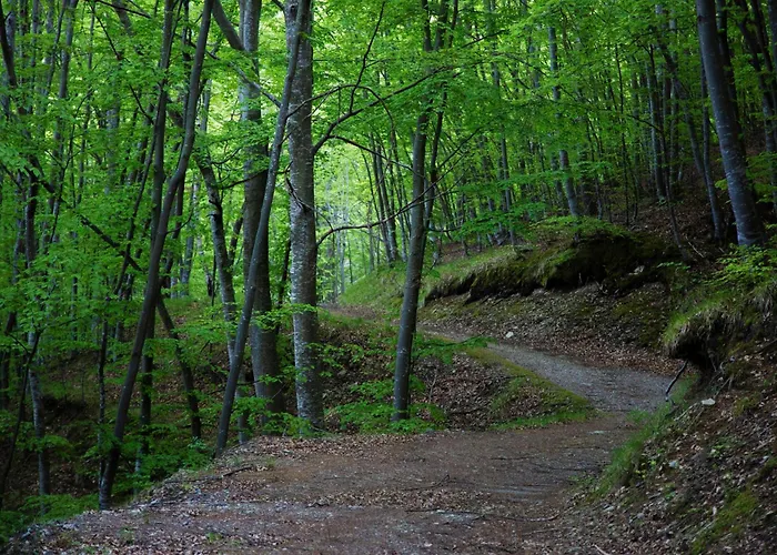 In Montagna Lejlighed